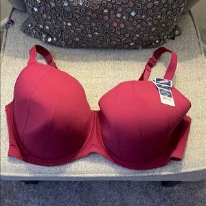 Brand new MOD by Parfait bra 44FF